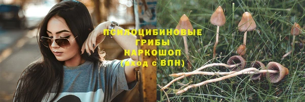 каннабис Алексеевка